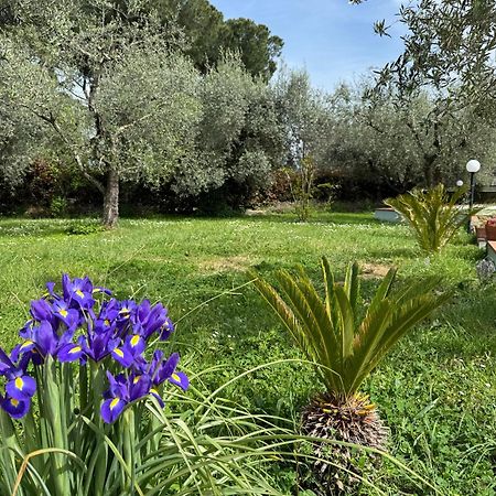 La Piccola Provenza Villa Fiano Romano Eksteriør billede